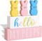Easter Decorations for the Home: 5pcs Easter Bunny Wooden Table Centerpiece Signs